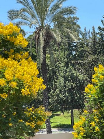 דירה להשכרה בתל אביב יפו (תיווך) — 3