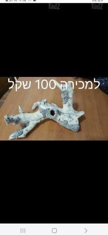 תמונת מודעה - חיות מחמד