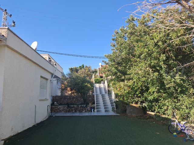 דולב 14