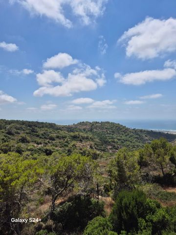 אידר 52