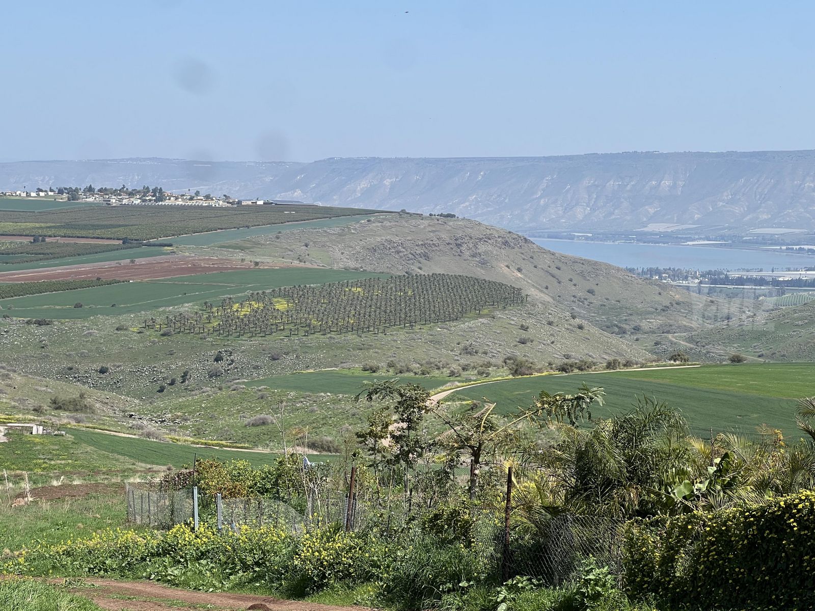 מגרשים, המייסדים 1, יבנאל, יבנאל