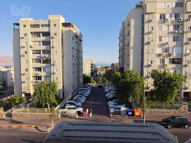 שור 1