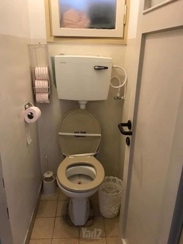 דירה להשכרה בתל אביב יפו — 2
