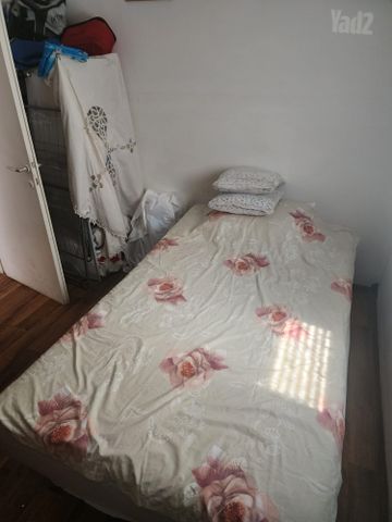 דרך הרימון 55