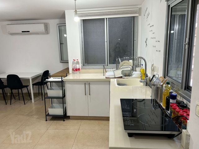 זוויתן 43