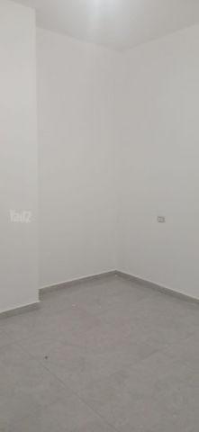 מרתף/ פרטר להשכרה בתל אביב יפו — 5