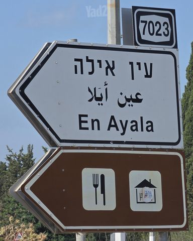משק חקלאי/ נחלה