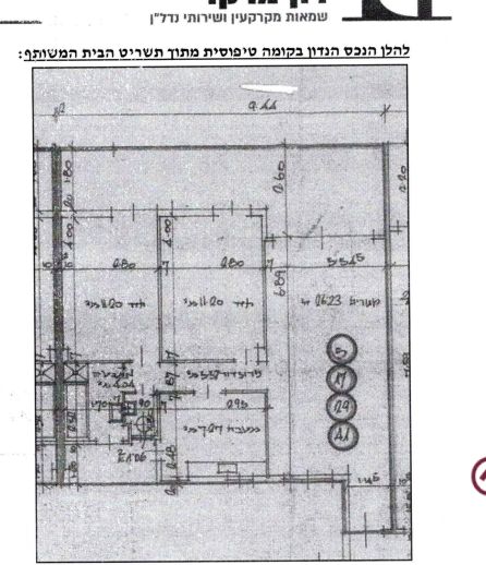 הרב הרצוג 