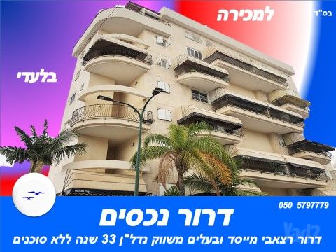 דוד וולפסון 33