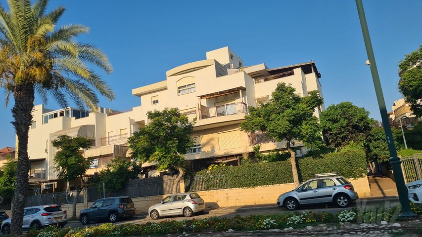 גדרה הצעירה