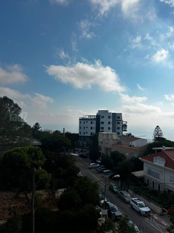 ויתקין 