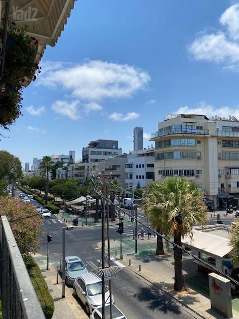 דירה להשכרה בתל אביב יפו (תיווך) — 2