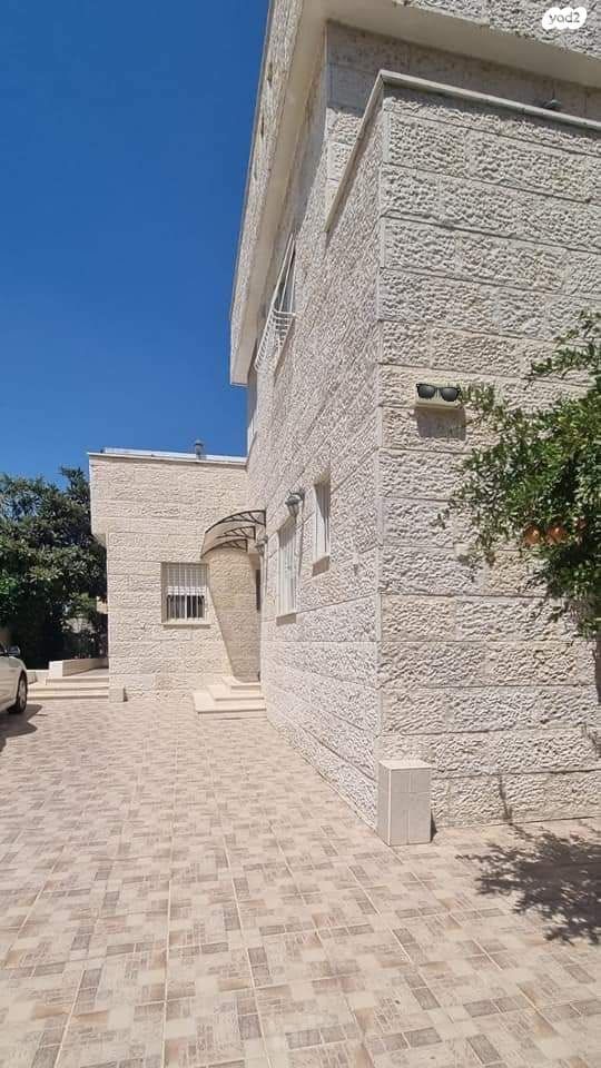 דודו דותן 2