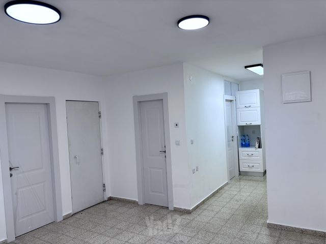זוויתן 3