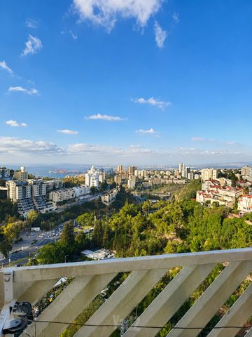 אורן 29