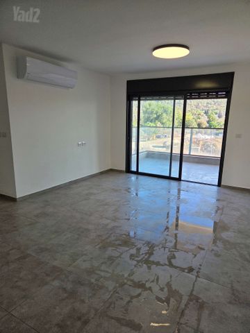 יצחק שמיר 163