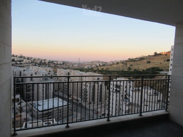 פרופסור יעקב נאמן 1