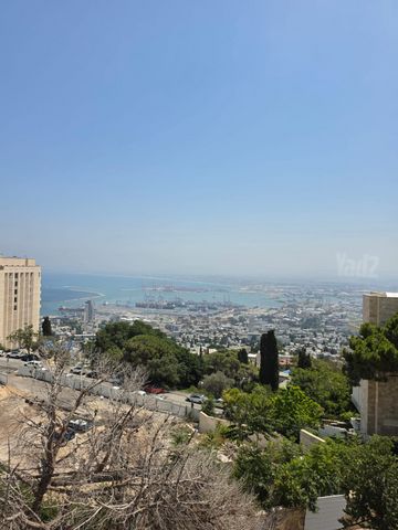 מרכז הכרמל