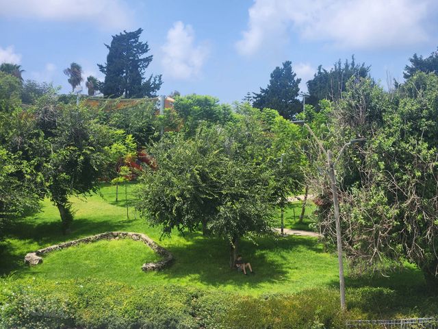 נעמ"ת