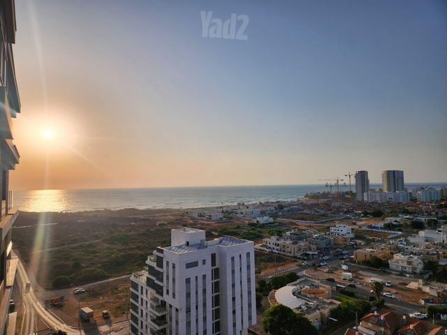 אדני פז 42