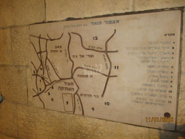 הנביאים 7