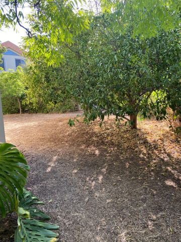 דרך אלונים 1