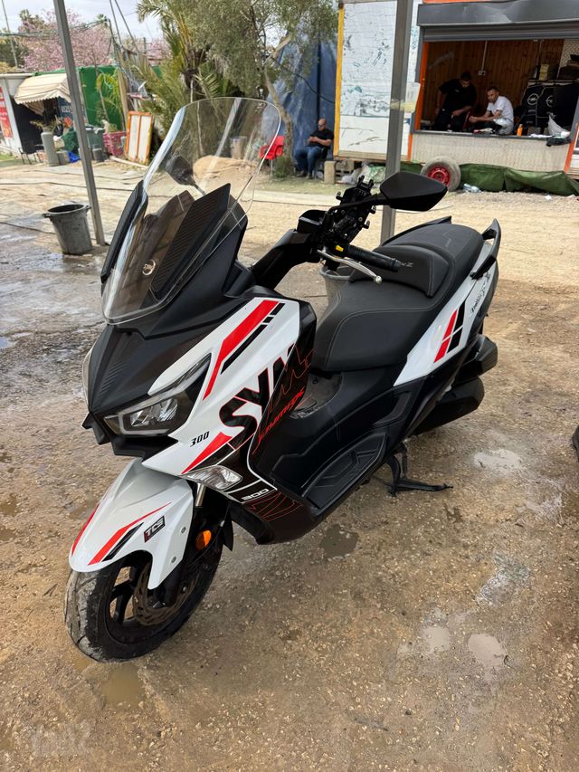 סאן יאנג ג'וי-מקס Z-300