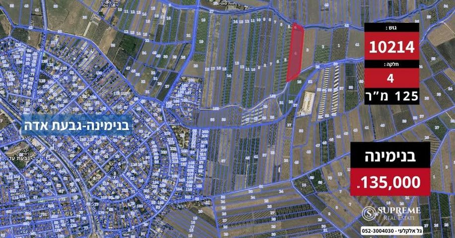 הטחנה 40