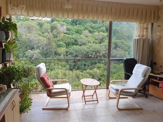 האסיף 19