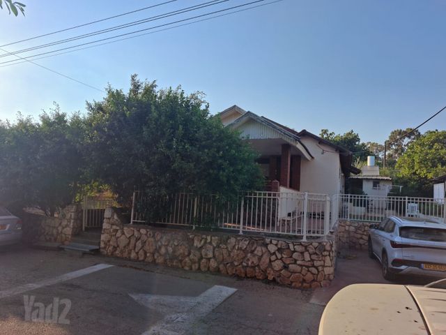 הזית 1