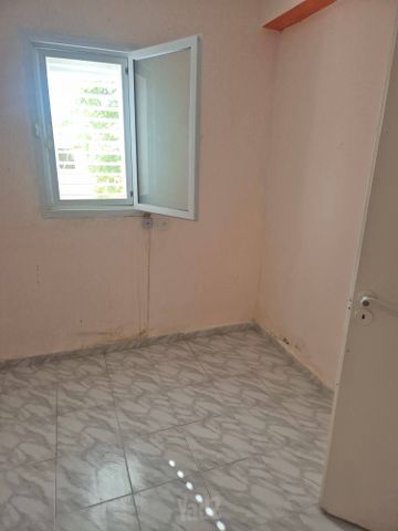 מתתיהו הכהן 225