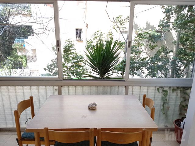 הארזים 10