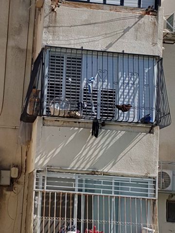 אלברט איינשטיין 4