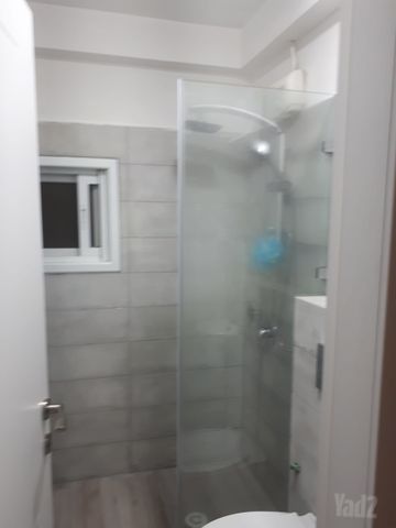 הרב הרצוג 7
