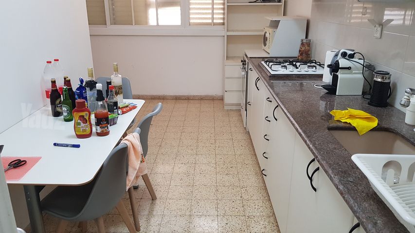 הרמן צבי שפירא 52