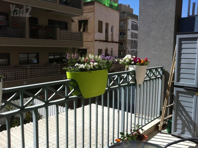 דירה להשכרה בתל אביב יפו — 2
