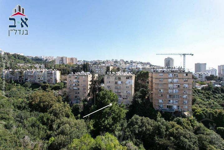 בודנהיימר 