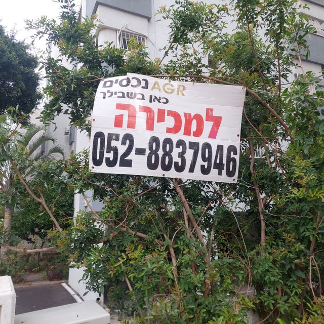 אוגרית 