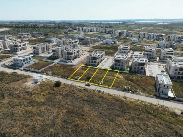 אביטל 