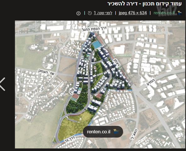 מגרשים, המייסדים, נס ציונה