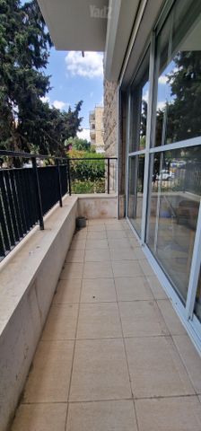 דוד מרכוס 