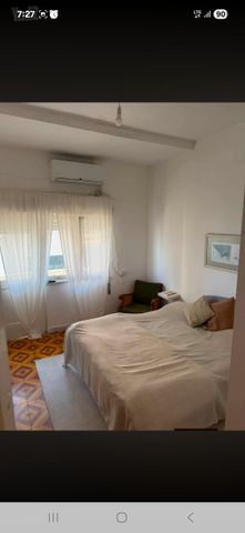 דירה להשכרה בתל אביב יפו (תיווך) — 2