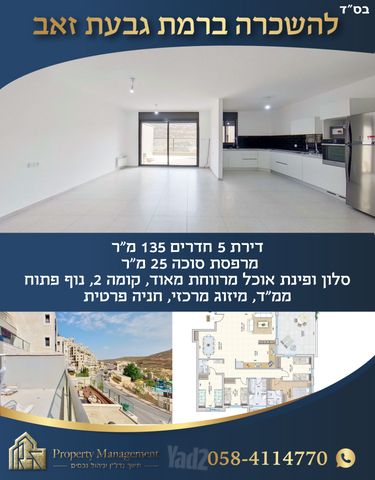 הכינור 