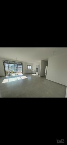יצחק שמיר 15