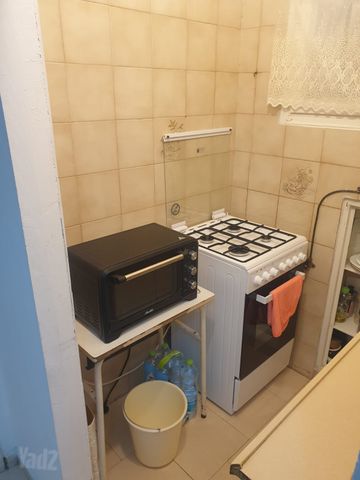 בלפור 31