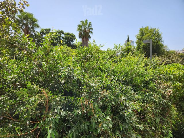 דירה למכירה בתל אביב יפו — 3