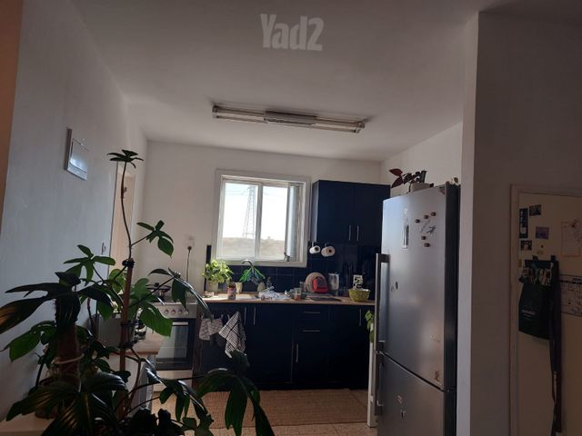 הברבור 11