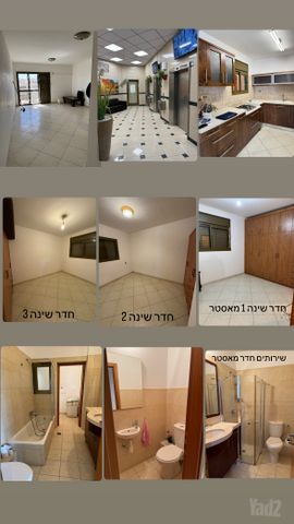 התקווה 12