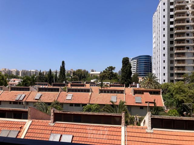 הזית 4