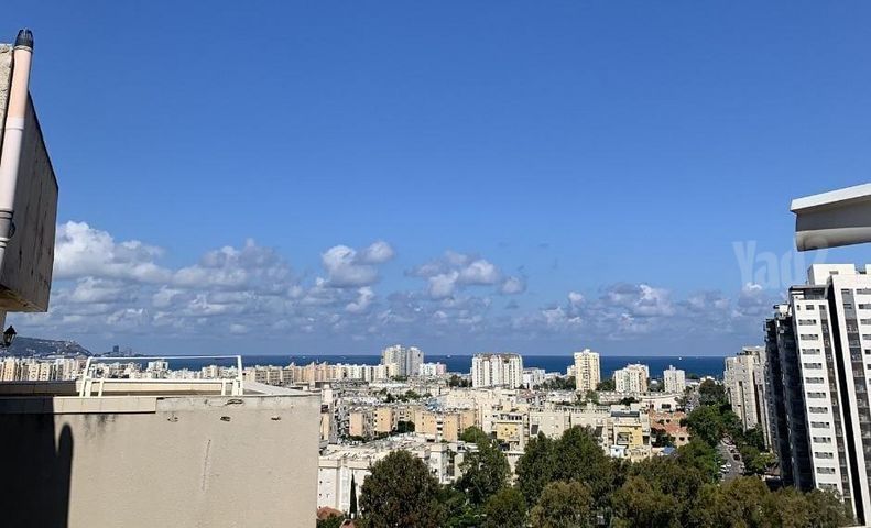 החשמונאים 35